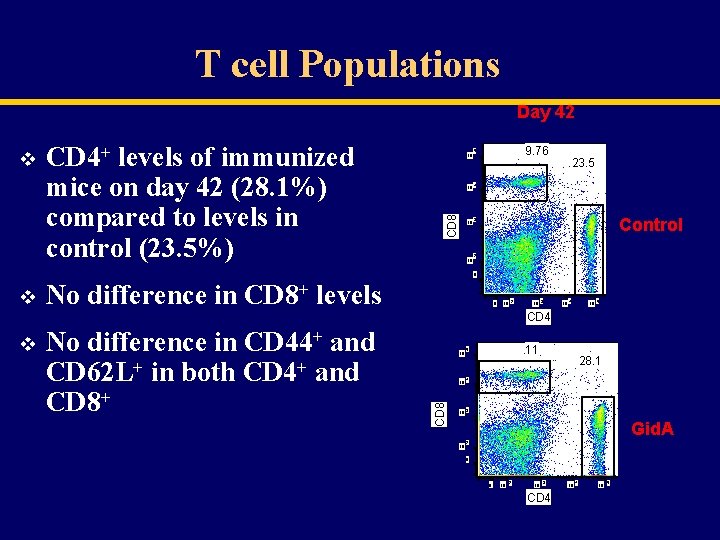 T cell Populations Day 42 CD 4+ levels of immunized mice on day 42