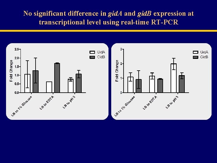 No significant difference in gid. A and gid. B expression at transcriptional level using