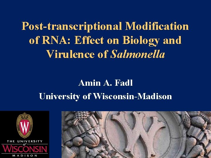 Post-transcriptional Modification of RNA: Effect on Biology and Virulence of Salmonella Amin A. Fadl