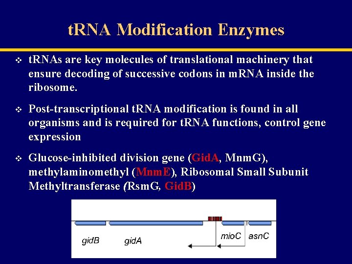 t. RNA Modification Enzymes v t. RNAs are key molecules of translational machinery that