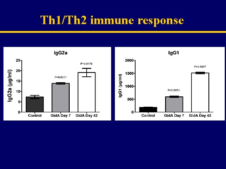 Th 1/Th 2 immune response 