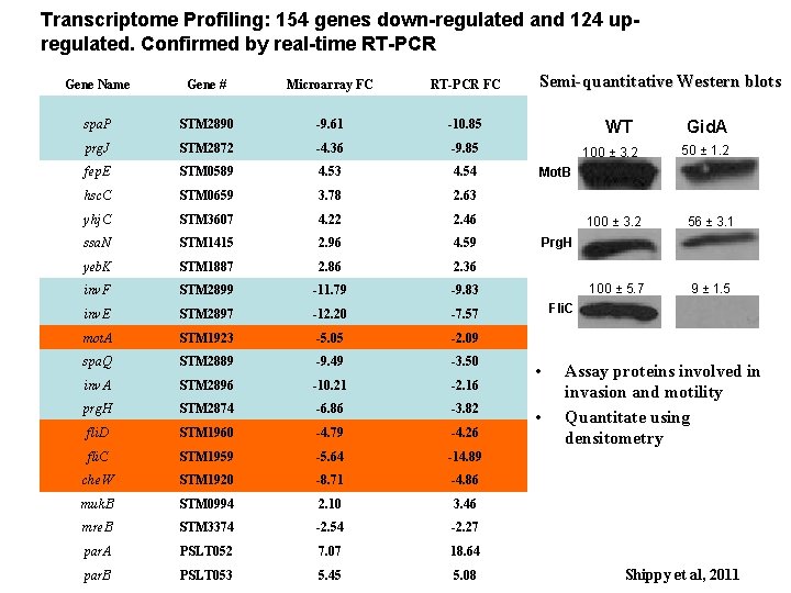 Transcriptome Profiling: 154 genes down-regulated and 124 upregulated. Confirmed by real-time RT-PCR Gene Name