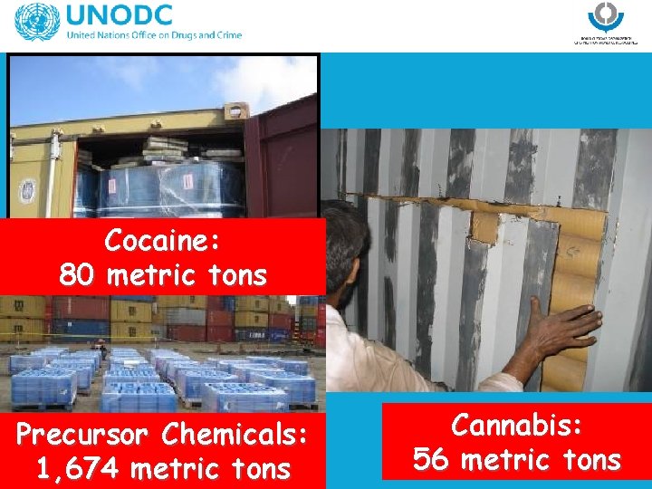 Cocaine: 80 metric tons Precursor Chemicals: 1, 674 metric tons Cannabis: 56 metric tons
