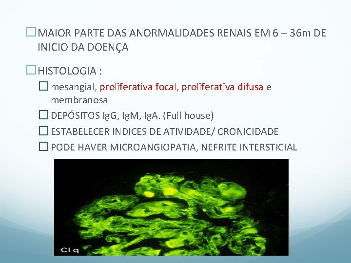 �MAIOR PARTE DAS ANORMALIDADES RENAIS EM 6 – 36 m DE INICIO DA DOENÇA