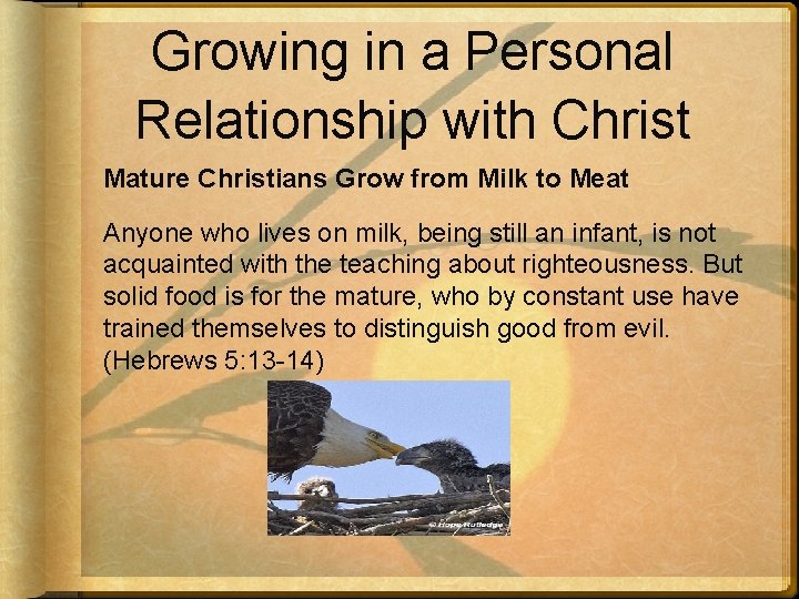 Growing in a Personal Relationship with Christ Mature Christians Grow from Milk to Meat