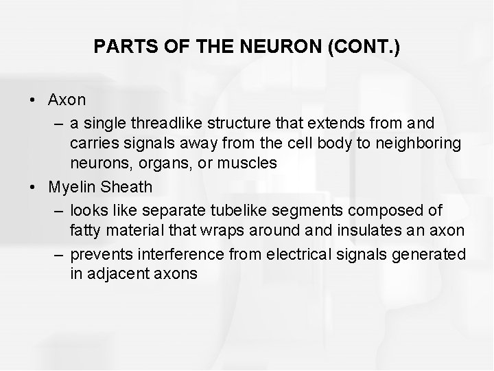 PARTS OF THE NEURON (CONT. ) • Axon – a single threadlike structure that