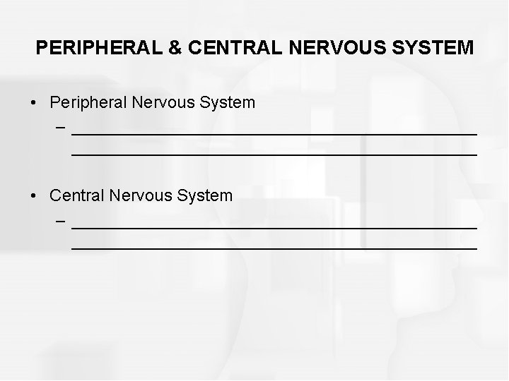 PERIPHERAL & CENTRAL NERVOUS SYSTEM • Peripheral Nervous System – ___________________________________________ • Central Nervous