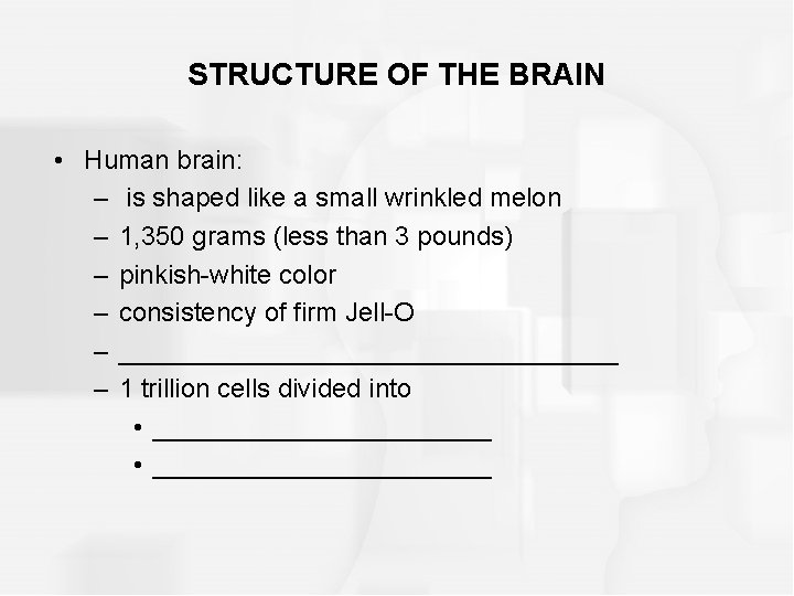 STRUCTURE OF THE BRAIN • Human brain: – is shaped like a small wrinkled