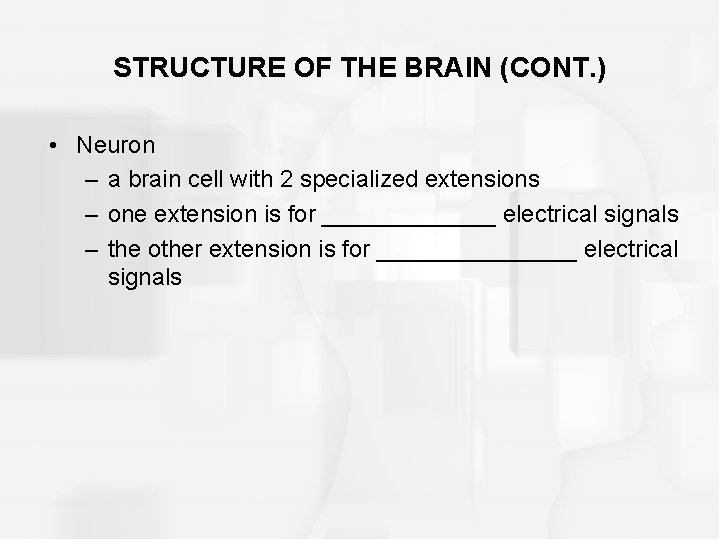 STRUCTURE OF THE BRAIN (CONT. ) • Neuron – a brain cell with 2