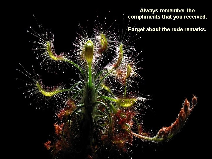 Always remember the compliments that you received. Forget about the rude remarks. 