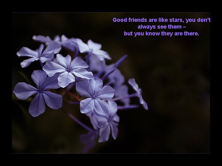 Good friends are like stars, you don’t always see them – but you know