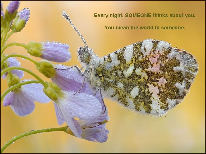 Every night, SOMEONE thinks about you. You mean the world to someone. 