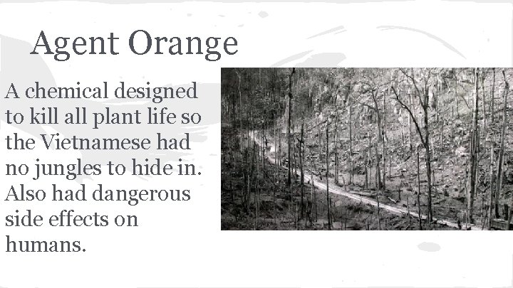 Agent Orange A chemical designed to kill all plant life so the Vietnamese had