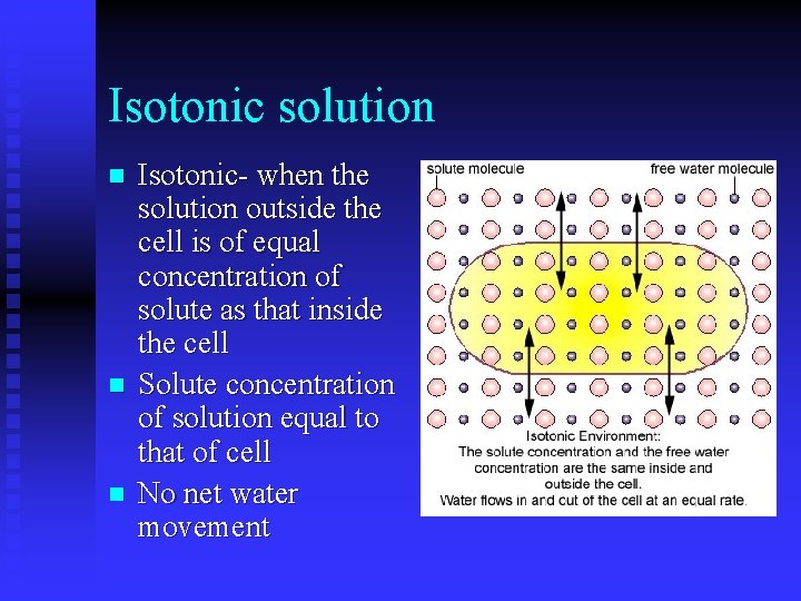 Isotonic solution n Isotonic- when the solution outside the cell is of equal concentration