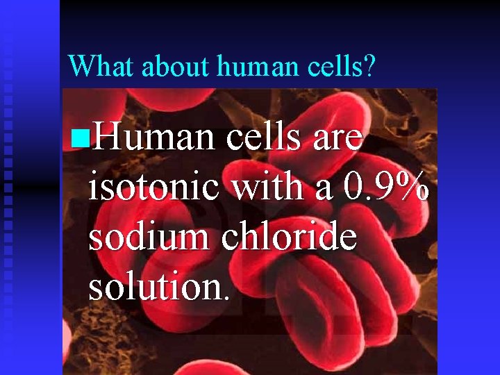 What about human cells? n. Human cells are isotonic with a 0. 9% sodium