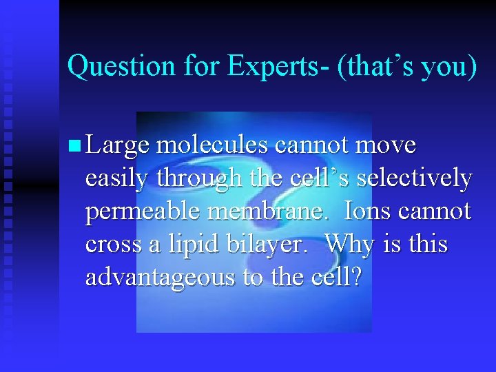 Question for Experts- (that’s you) n Large molecules cannot move easily through the cell’s