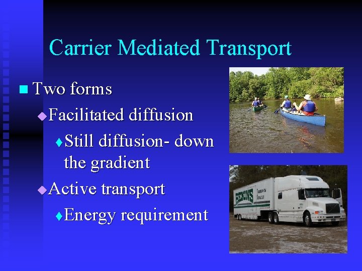 Carrier Mediated Transport n Two forms Facilitated diffusion t Still diffusion- down the gradient