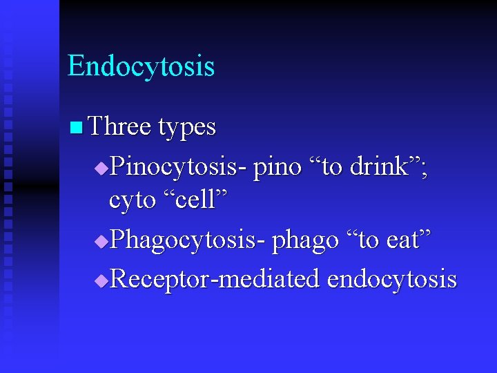 Endocytosis n Three types Pinocytosis- pino “to drink”; cyto “cell” u. Phagocytosis- phago “to