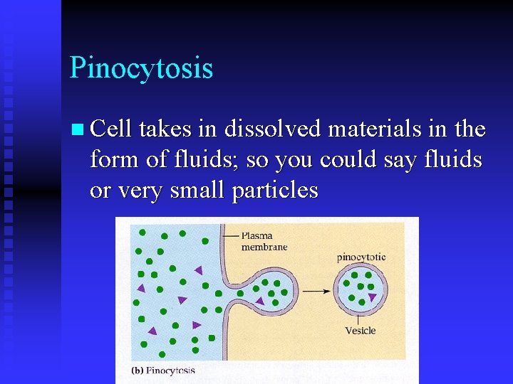 Pinocytosis n Cell takes in dissolved materials in the form of fluids; so you
