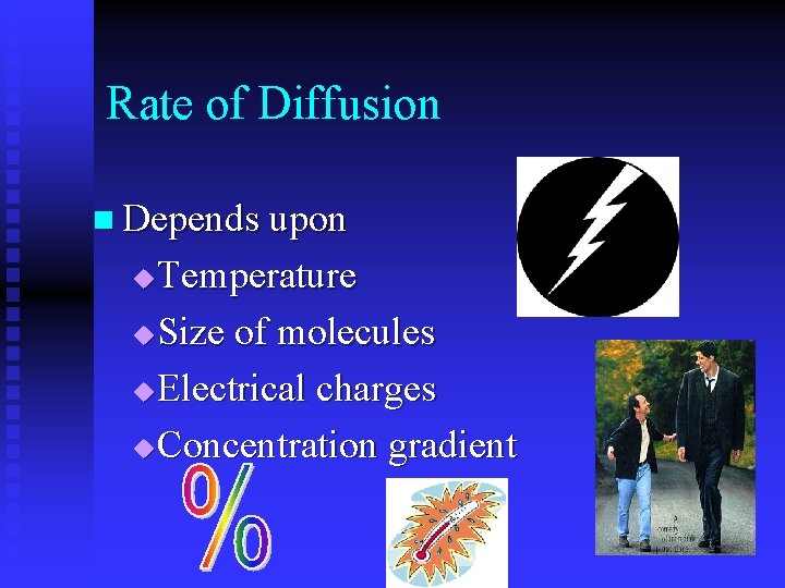 Rate of Diffusion n Depends upon Temperature u Size of molecules u Electrical charges
