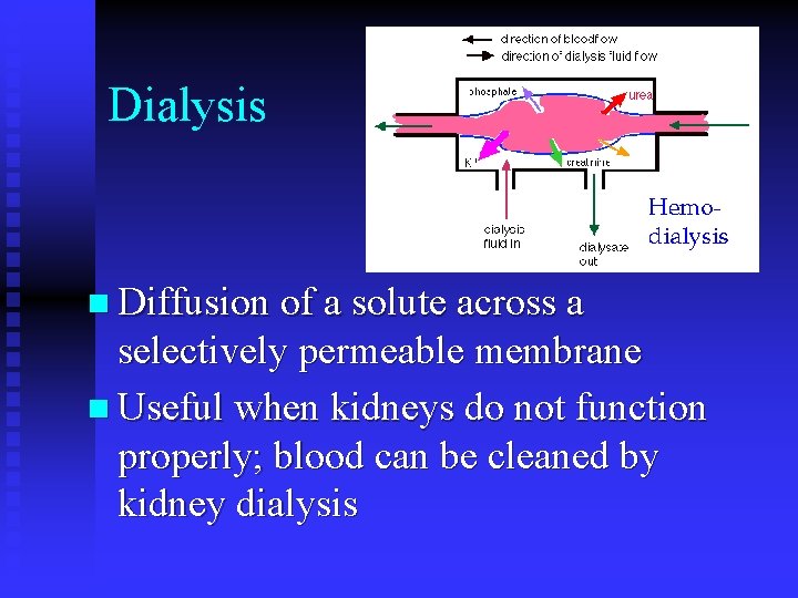 Dialysis n Diffusion of a solute across a selectively permeable membrane n Useful when