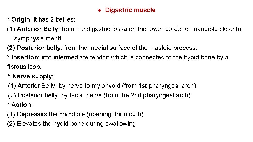  Digastric muscle * Origin: it has 2 bellies: (1) Anterior Belly: from the