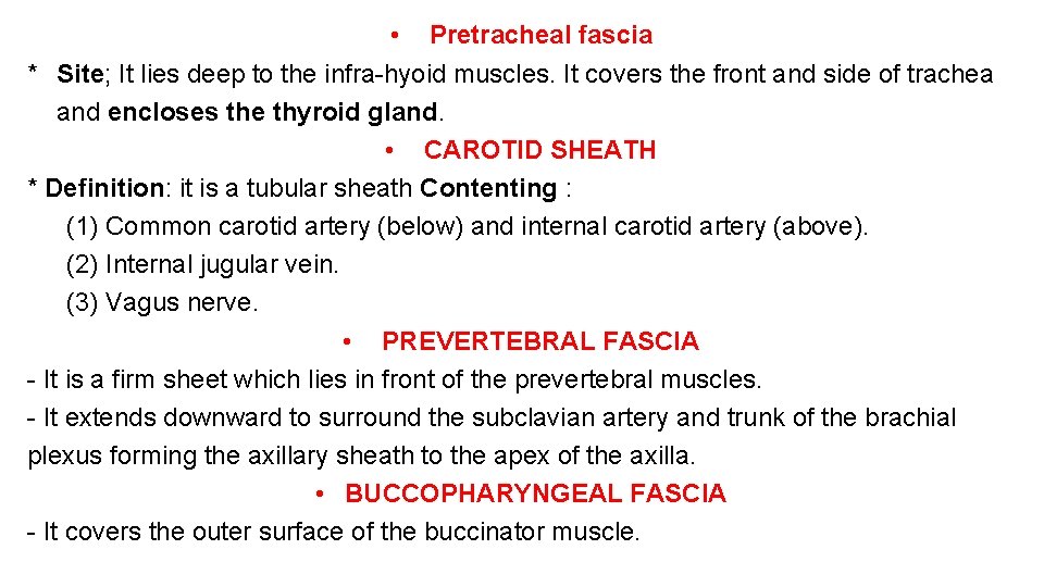  • Pretracheal fascia * Site; It lies deep to the infra-hyoid muscles. It