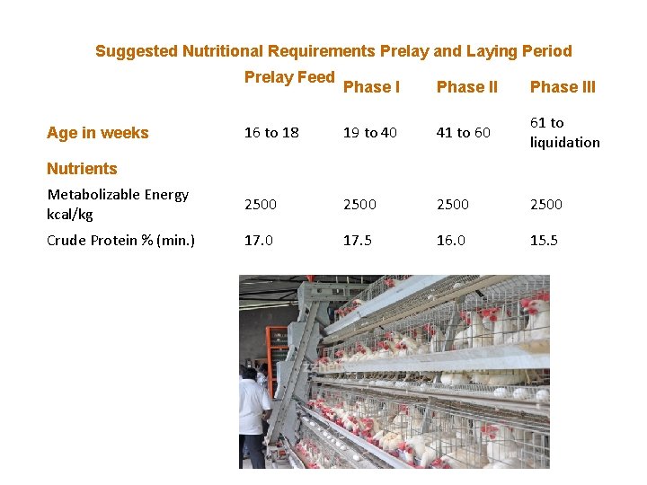 Suggested Nutritional Requirements Prelay and Laying Period Prelay Feed Phase III 16 to 18
