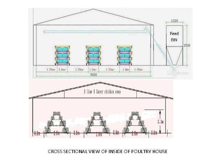 CROSS SECTIONAL VIEW OF INSIDE OF POULTRY HOUSE 