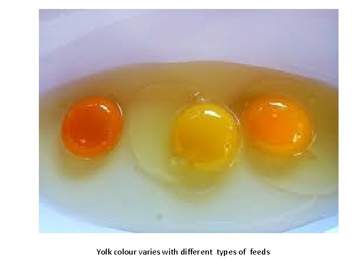 Yolk colour varies with different types of feeds 