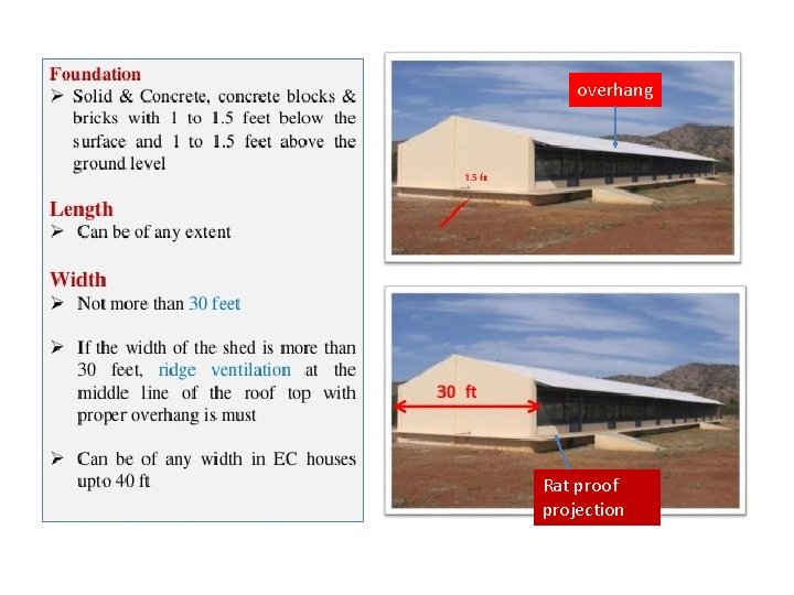 overhang Rat proof projection 