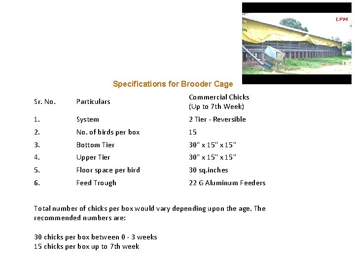 Specifications for Brooder Cage Sr. No. Particulars Commercial Chicks (Up to 7 th Week)