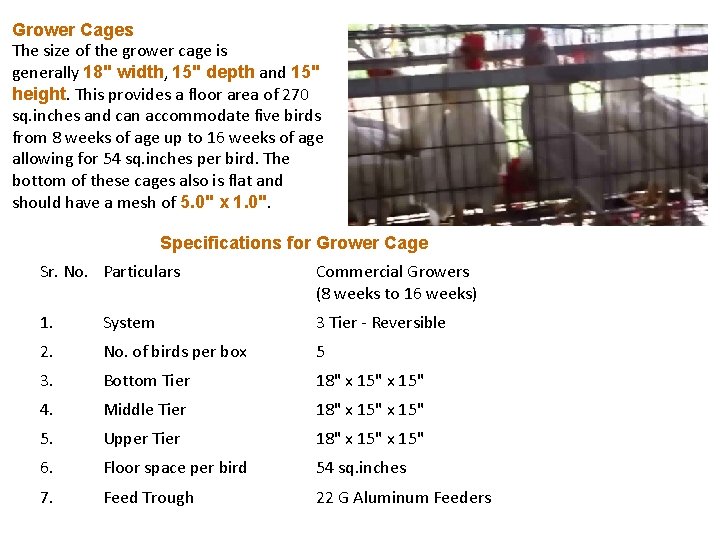 Grower Cages The size of the grower cage is generally 18" width, 15" depth