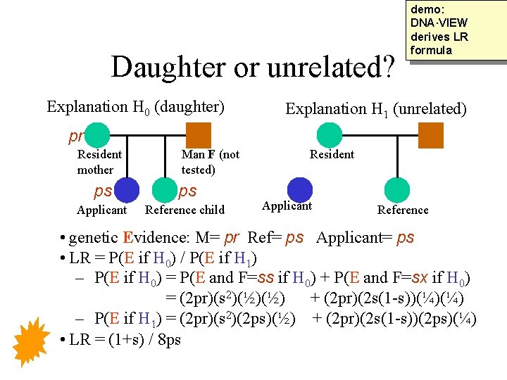 Daughter or unrelated? Explanation H 0 (daughter) demo: DNA·VIEW derives LR formula Explanation H