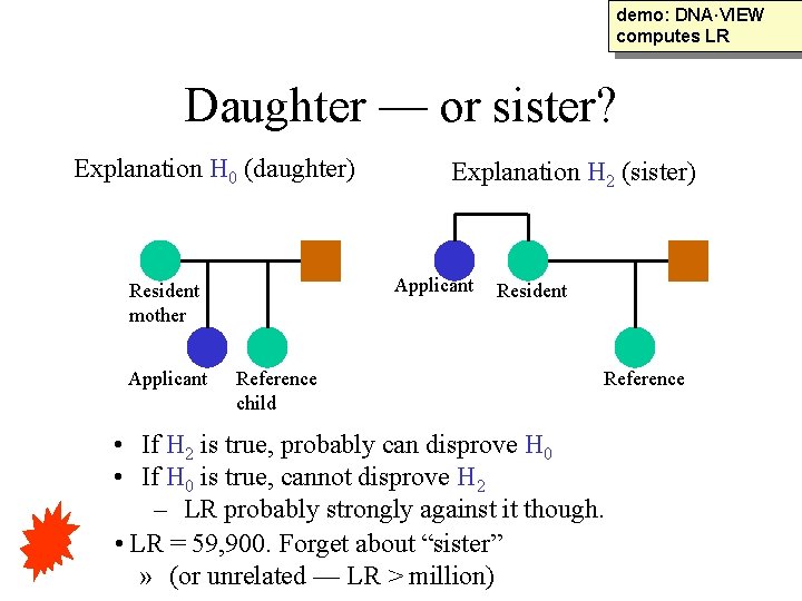 demo: DNA·VIEW computes LR Daughter — or sister? Explanation H 0 (daughter) Applicant Resident