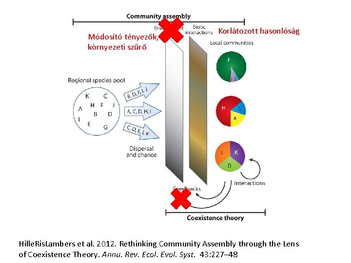 Módosító tényezők, környezeti szűrő Korlátozott hasonlóság Hille. Ris. Lambers et al. 2012. Rethinking Community