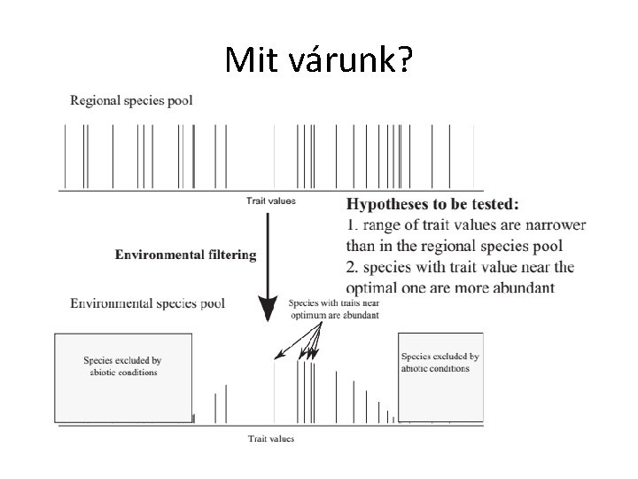 Mit várunk? 