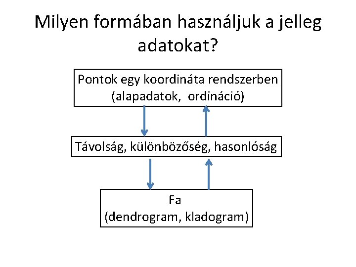 Milyen formában használjuk a jelleg adatokat? Pontok egy koordináta rendszerben (alapadatok, ordináció) Távolság, különbözőség,