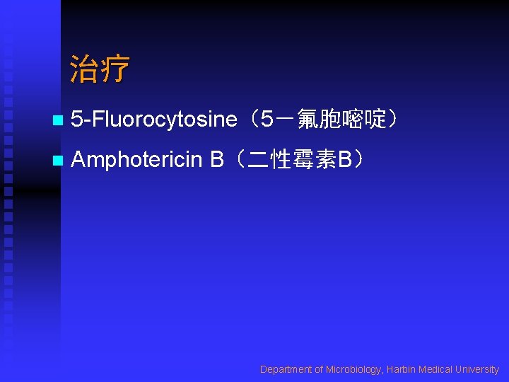 治疗 n 5 -Fluorocytosine（5－氟胞嘧啶） n Amphotericin B（二性霉素B） Department of Microbiology, Harbin Medical University 