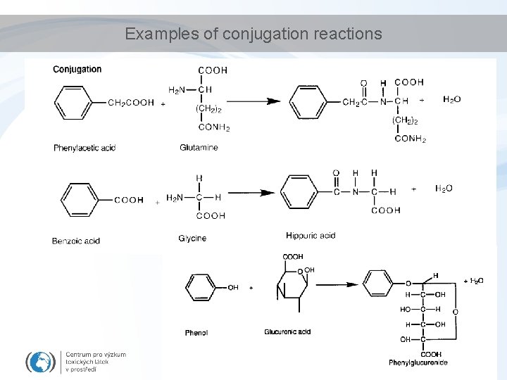 Examples of conjugation reactions 