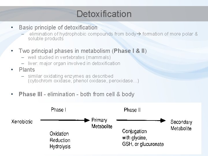 Detoxification • Basic principle of detoxification – elimination of hydrophobic compounds from body formation