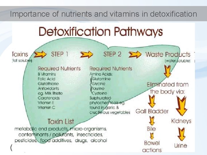 Importance of nutrients and vitamins in detoxification 