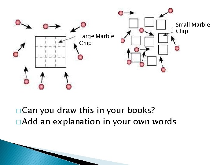 Large Marble Chip � Can Small Marble Chip you draw this in your books?