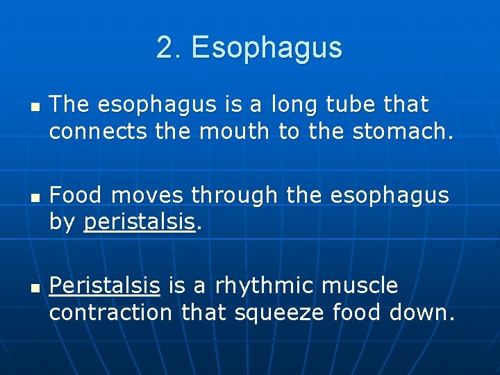 2. Esophagus n n n The esophagus is a long tube that connects the
