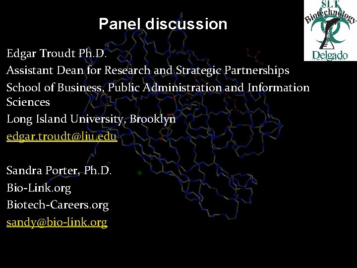 Panel discussion Edgar Troudt Ph. D. Assistant Dean for Research and Strategic Partnerships School