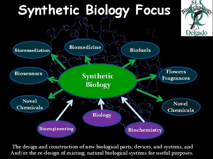 Synthetic Biology Focus Bioremediation Biomedicine Biosensors Biofuels Flowers Fragrances Synthetic Biology Novel Chemicals Synthetic