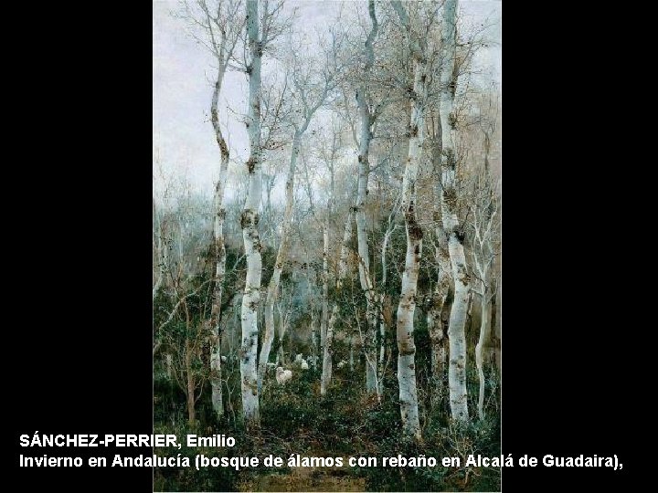 SÁNCHEZ-PERRIER, Emilio Invierno en Andalucía (bosque de álamos con rebaño en Alcalá de Guadaira),