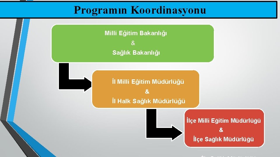 Programın Koordinasyonu Milli Eğitim Bakanlığı & Sağlık Bakanlığı İl Milli Eğitim Müdürlüğü & İl