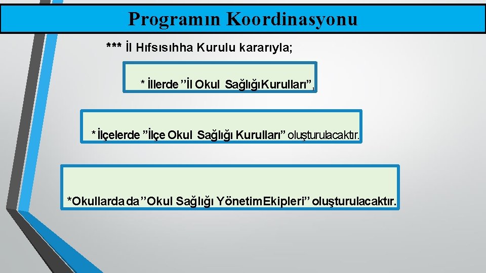 Programın Koordinasyonu *** İl Hıfsısıhha Kurulu kararıyla; * İllerde ’’İl Okul SağlığıKurulları’’, * İlçelerde