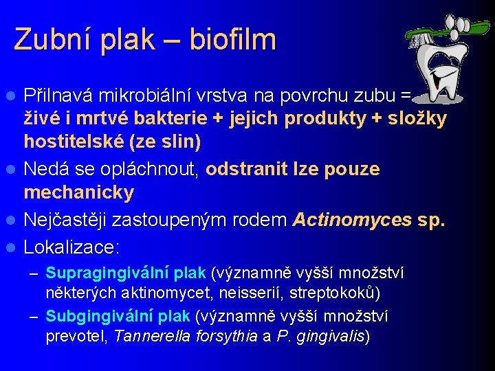 Zubní plak – biofilm l l Přilnavá mikrobiální vrstva na povrchu zubu = živé